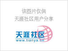 我该怎样去爱你