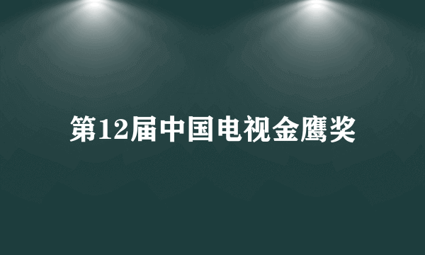 第12届中国电视金鹰奖