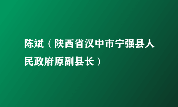 陈斌（陕西省汉中市宁强县人民政府原副县长）