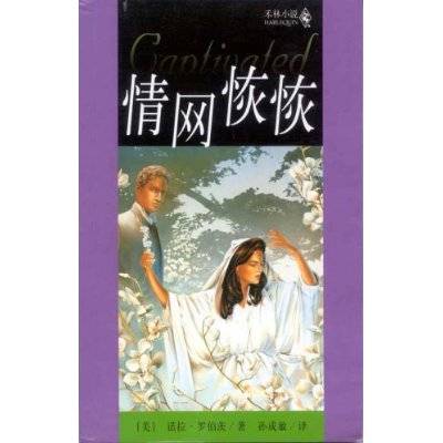 情网恢恢（2005年北京艺术与科学电子出版社出版的图书）