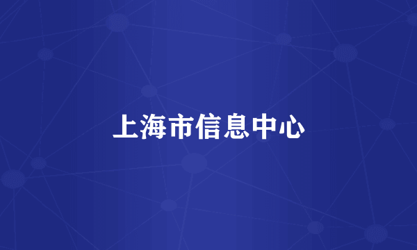 上海市信息中心