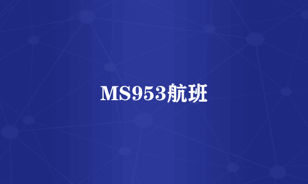 MS953航班