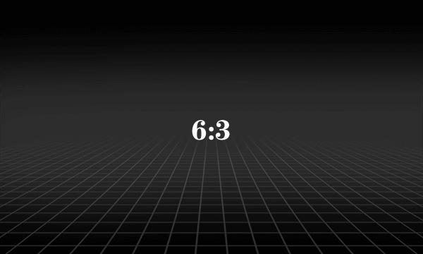 6:3