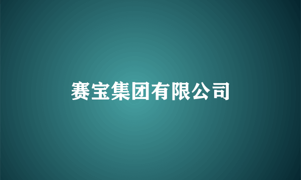 赛宝集团有限公司