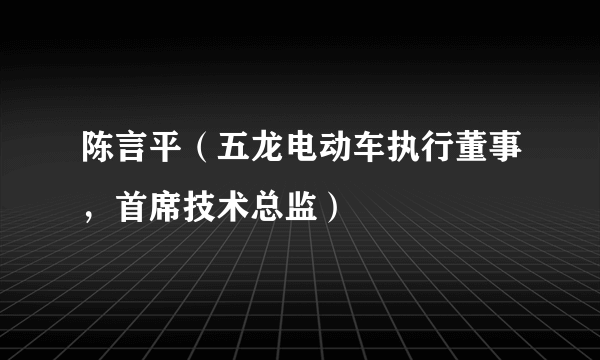 陈言平（五龙电动车执行董事，首席技术总监）