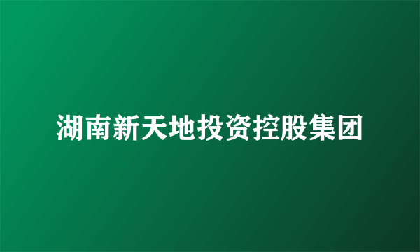 湖南新天地投资控股集团