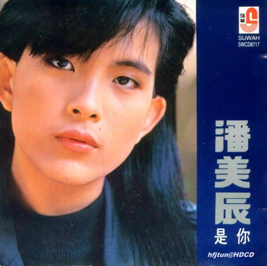 是你（潘美辰演唱歌曲）