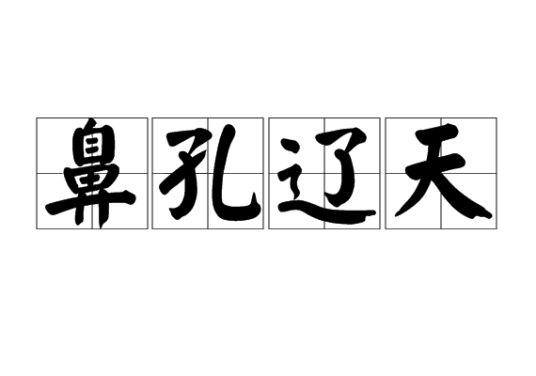 鼻孔辽天