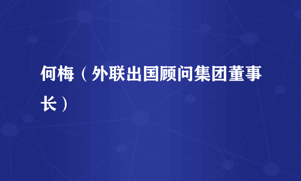 何梅（外联出国顾问集团董事长）