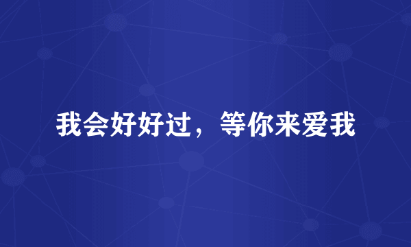 我会好好过，等你来爱我