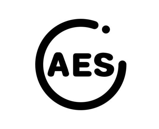 aes（广州安亿仕汽车配件有限公司）