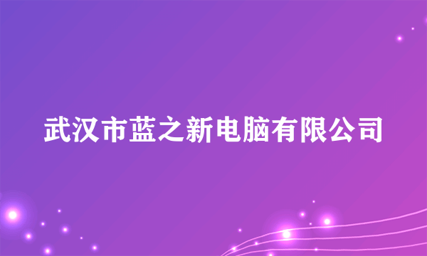 武汉市蓝之新电脑有限公司