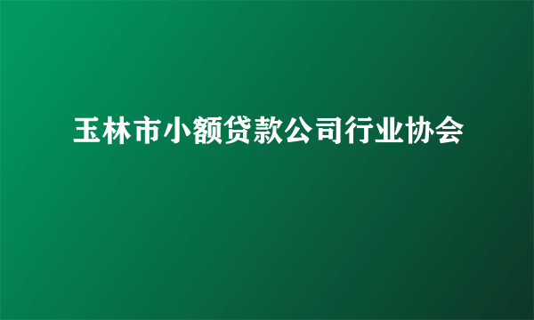 玉林市小额贷款公司行业协会