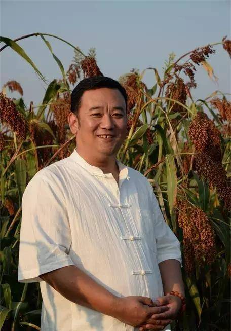 齐斌（书法家）