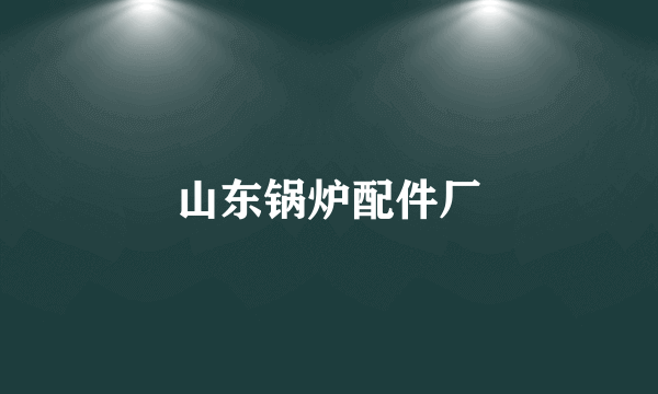 山东锅炉配件厂