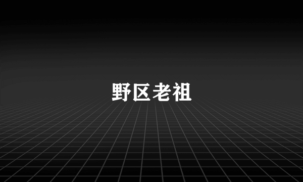 野区老祖