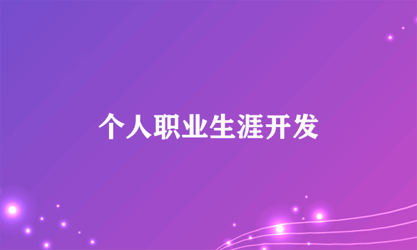 个人职业生涯开发