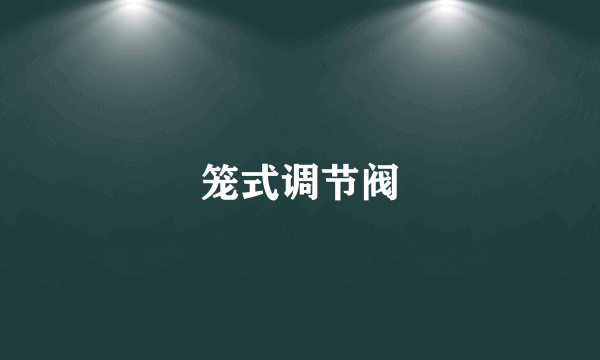 笼式调节阀