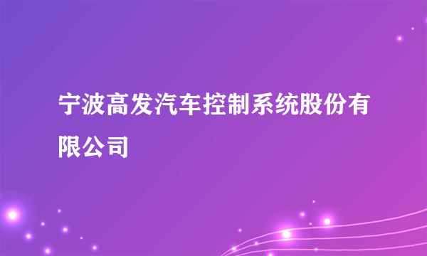 宁波高发汽车控制系统股份有限公司