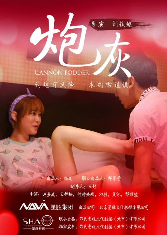 炮灰（2015年刘铁键执导网络大电影）