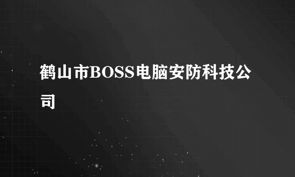 鹤山市BOSS电脑安防科技公司