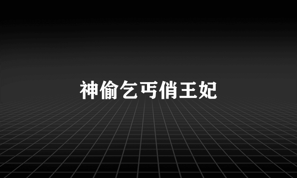 神偷乞丐俏王妃