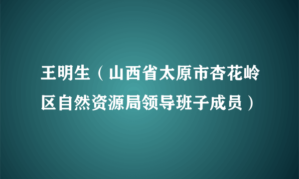 王明生（山西省太原市杏花岭区自然资源局领导班子成员）
