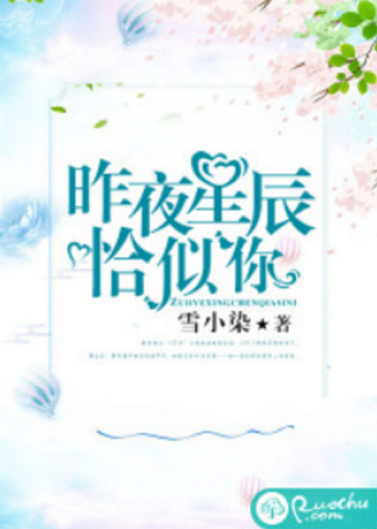 昨夜星辰恰似你（雪小染所著小说）
