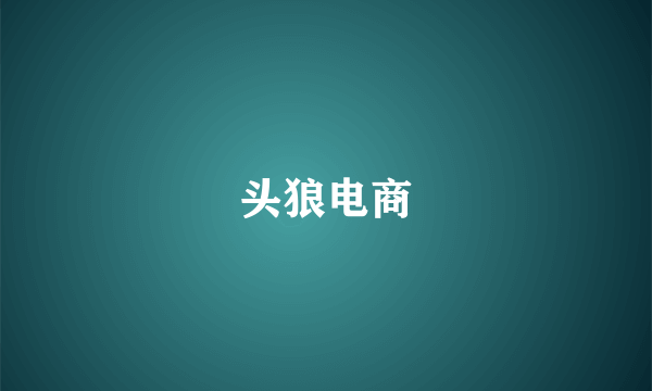 头狼电商