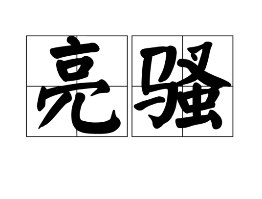亮骚