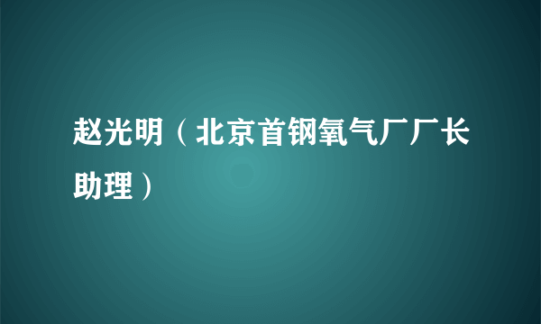 赵光明（北京首钢氧气厂厂长助理）