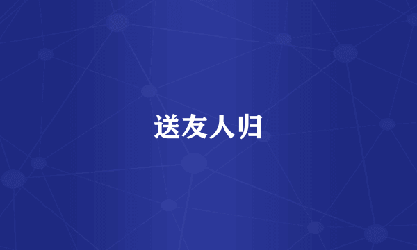 送友人归