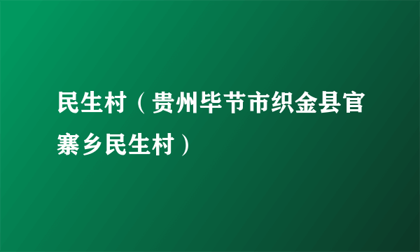 民生村（贵州毕节市织金县官寨乡民生村）