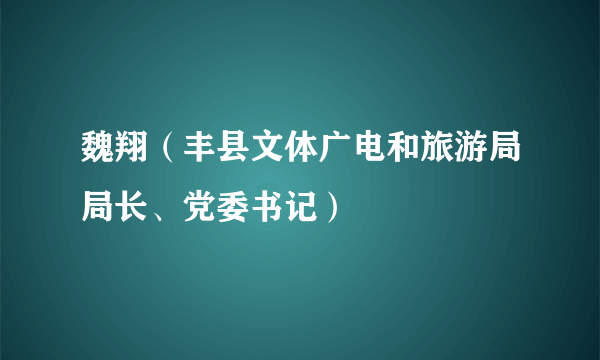 魏翔（丰县文体广电和旅游局局长、党委书记）