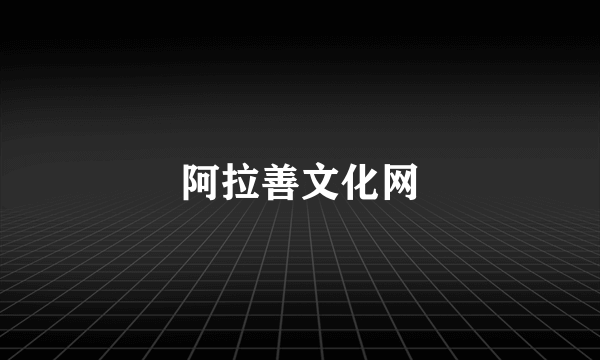 阿拉善文化网
