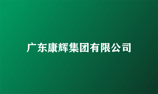 广东康辉集团有限公司