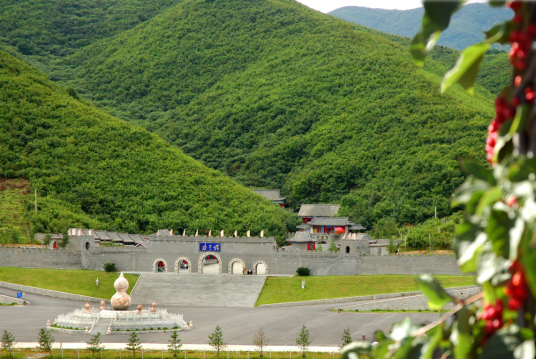 大梨树村（辽宁省丹东市凤城市凤山区下辖村）