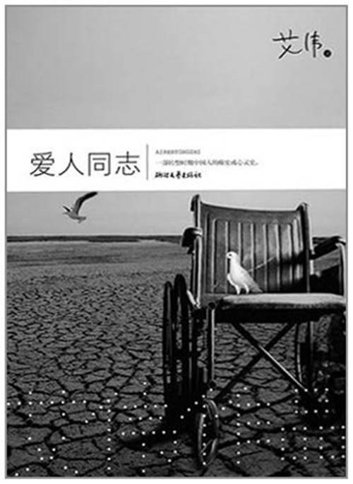 爱人同志（2011年6月浙江文艺出版社出版的图书）