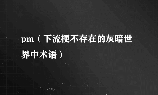 pm（下流梗不存在的灰暗世界中术语）