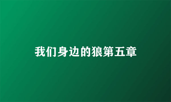 我们身边的狼第五章