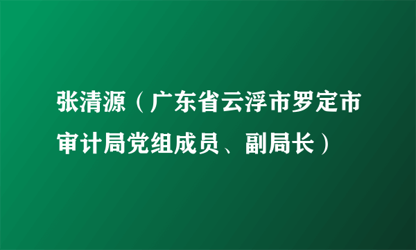 张清源（广东省云浮市罗定市审计局党组成员、副局长）