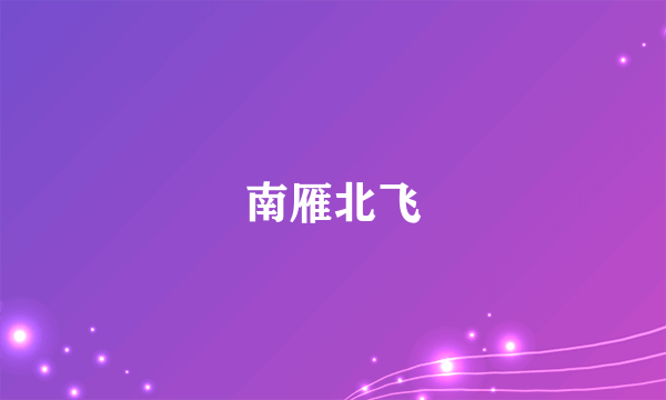 南雁北飞