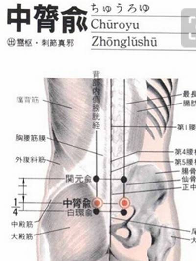 中膂俞