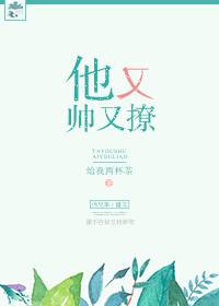 他又帅又撩
