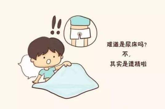 泄精