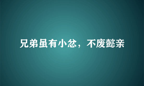 兄弟虽有小忿，不废懿亲