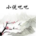 小说吧吧