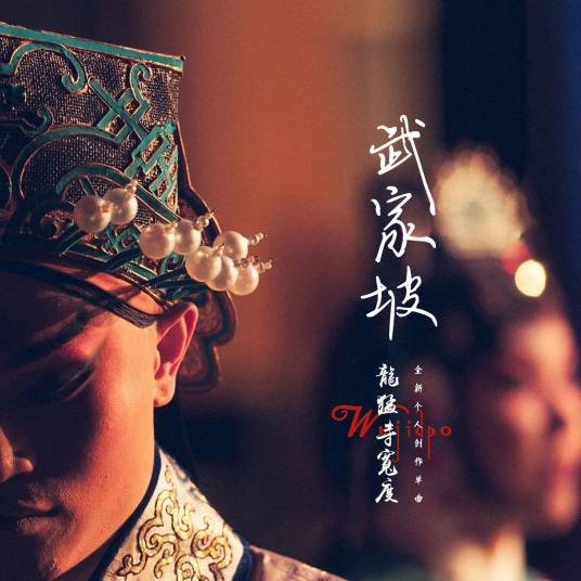 武家坡（队长演唱的歌曲）