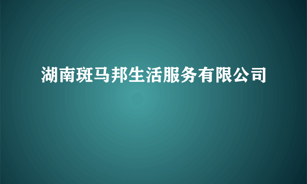 湖南斑马邦生活服务有限公司