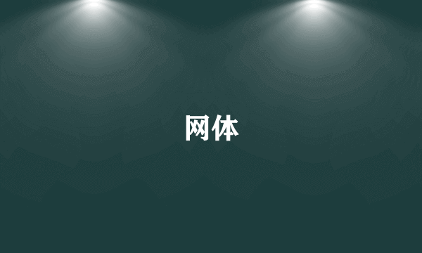 网体
